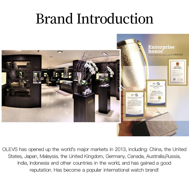 Men's Watch Original Business Wristwatch Automatic Mechanical Watch for Man Waterproof Luminous Stainless-Steel Date